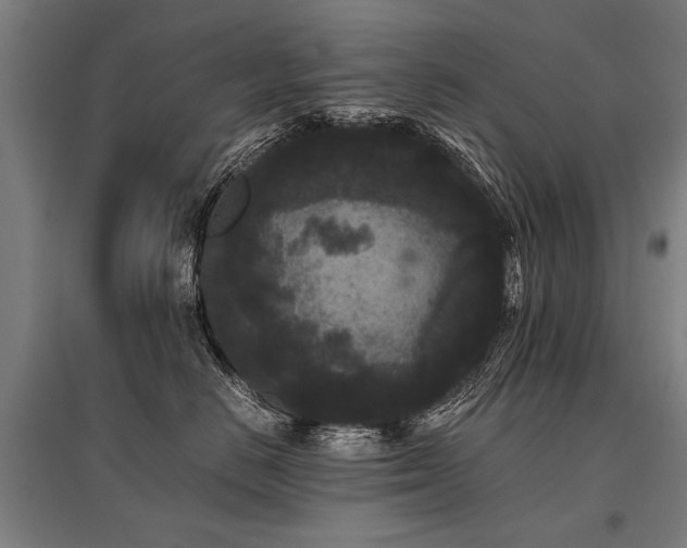 X0000096160670200801181226