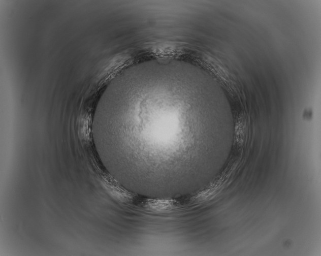 X0000096160671200801181226