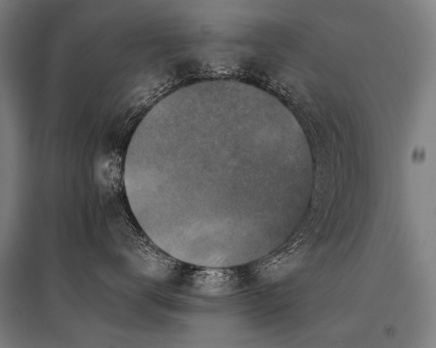 X0000096160672200801181226