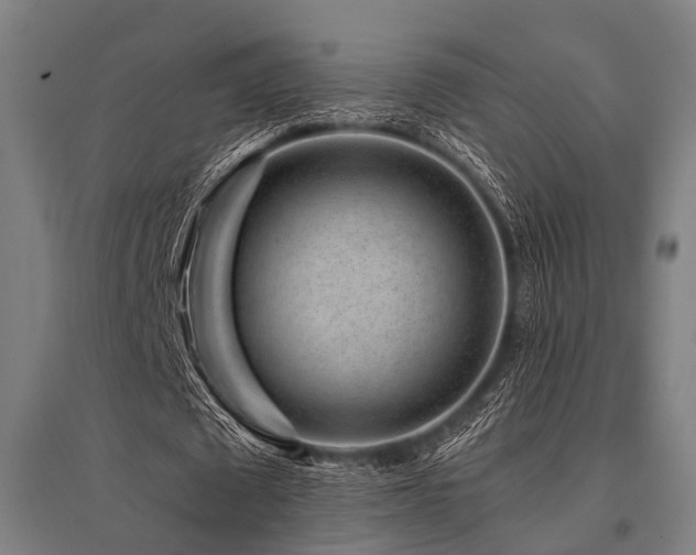 X0000096160673200801181225