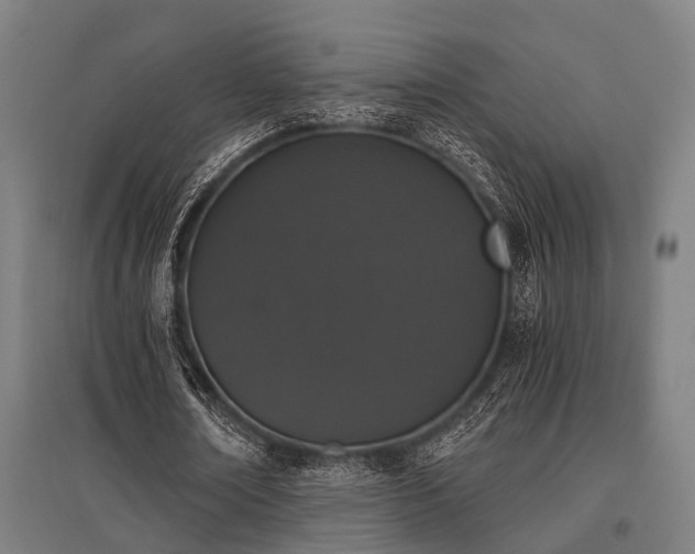X0000096160674200801181225