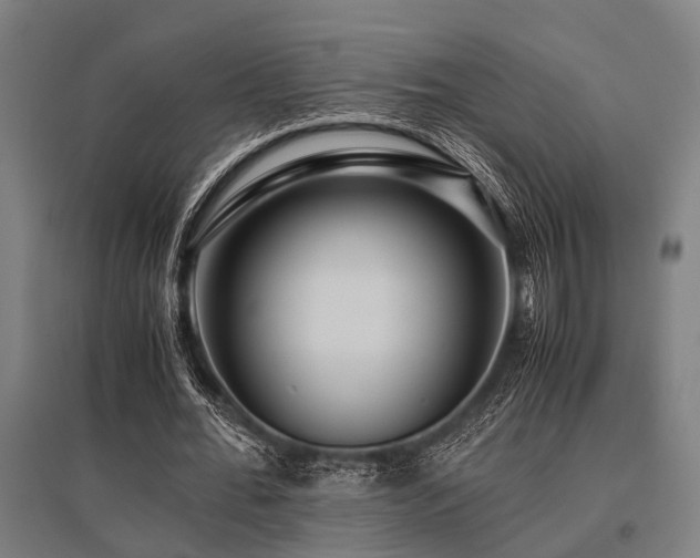 X0000096160676200801181225