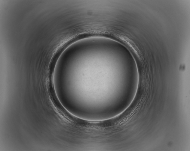X0000096160677200801181225