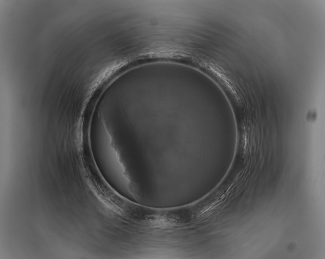 X0000096160678200801181225