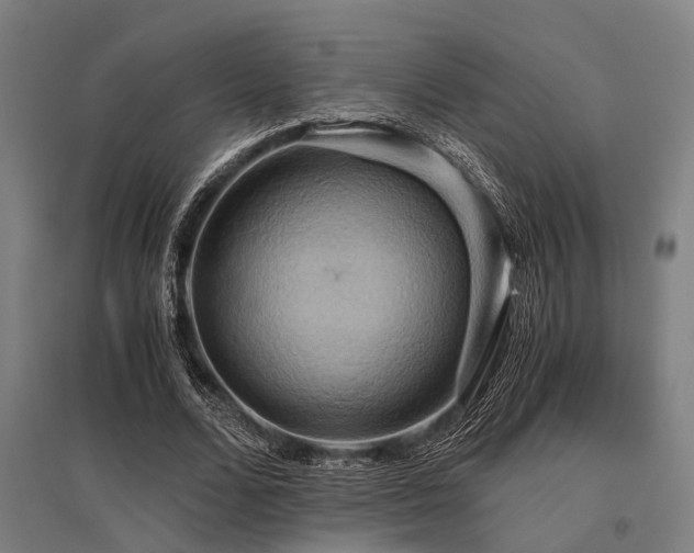 X0000096160680200801181225