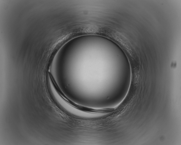 X0000096160681200801181225