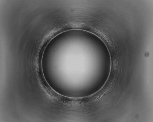 X0000096160682200801181225