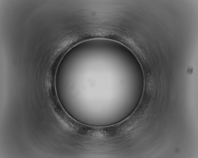 X0000096160683200801181225