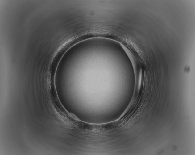 X0000096160684200801181225