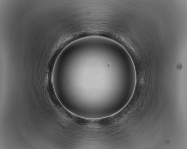 X0000096160685200801181225