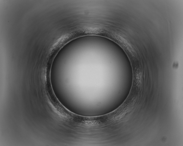 X0000096160686200801181225