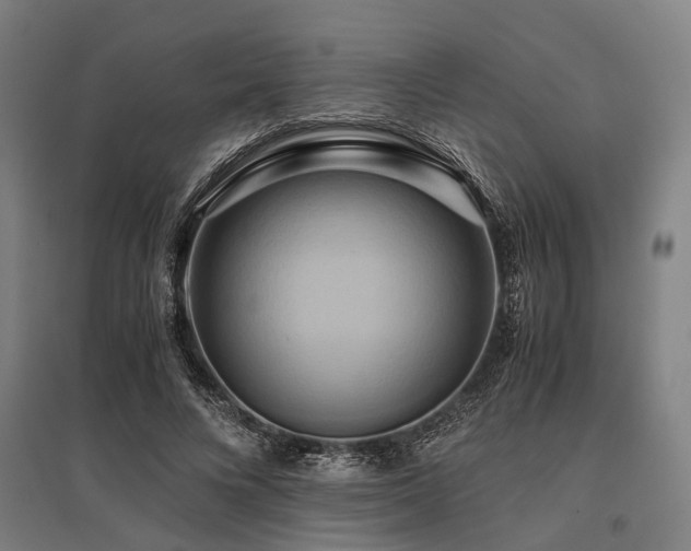 X0000096160688200801181225