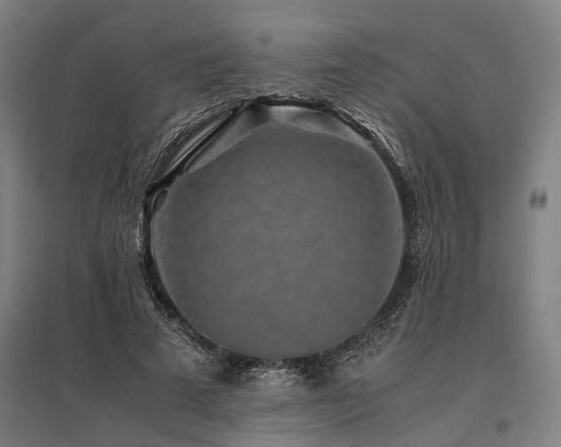 X0000096160689200801181225
