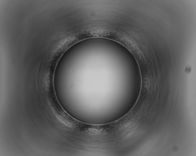 X0000096160690200801181225