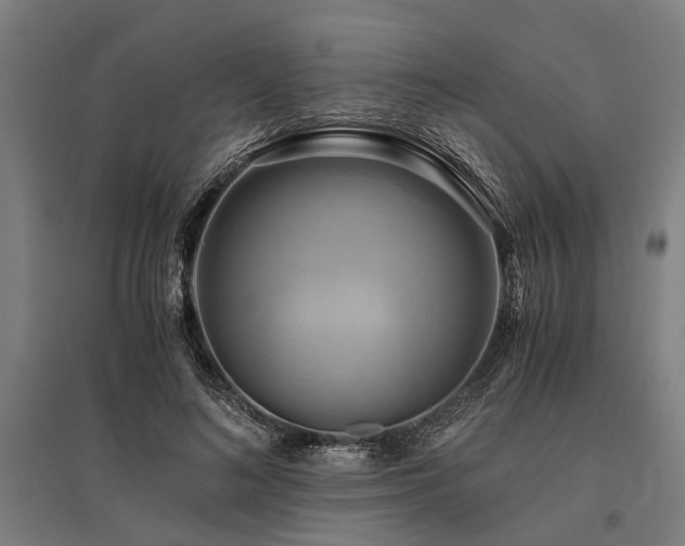X0000096160692200801181225