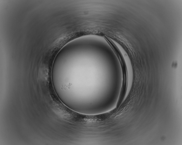 X0000096160693200801181225