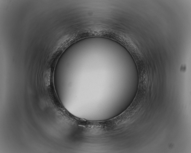 X0000096160694200801181225