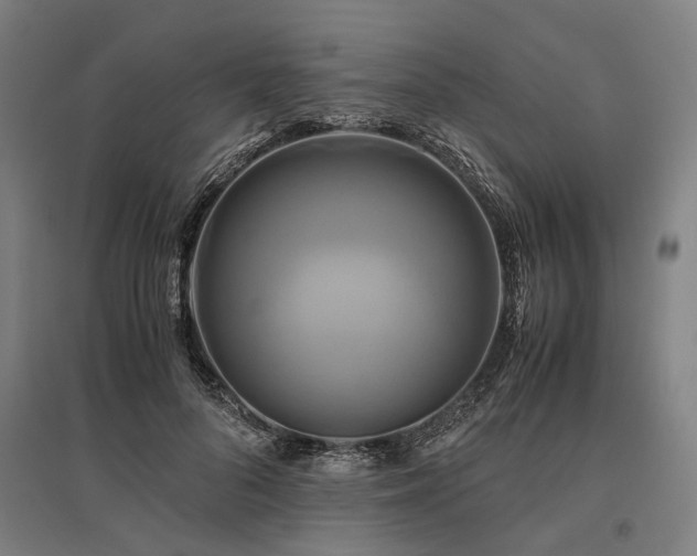 X0000096160696200801181225