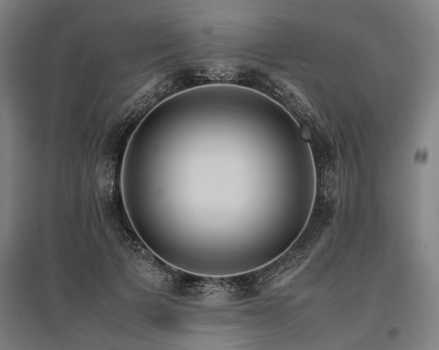 X0000096160697200801181225