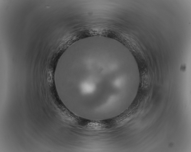 X0000096160699200801181225