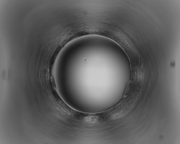 X0000096160700200801181225