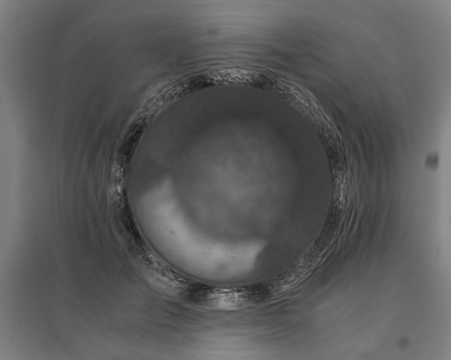 X0000096160701200801181225