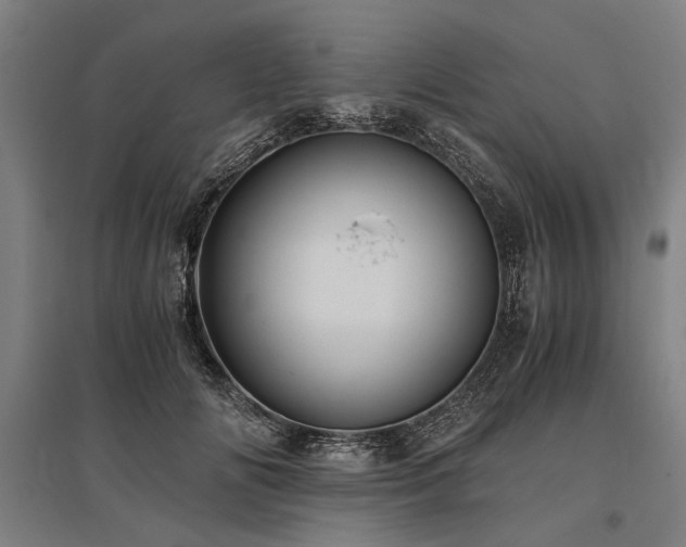 X0000096160702200801181225
