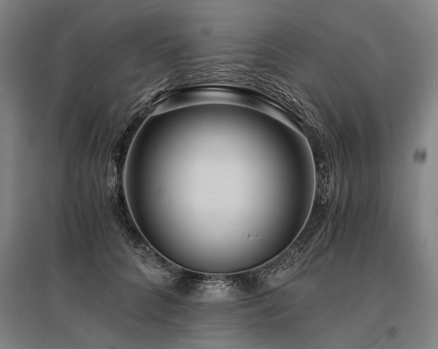 X0000096160704200801181225