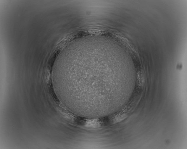 X0000096160705200801181225