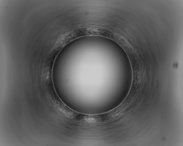 X0000096160706200801181225