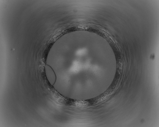 X0000096160707200801181225