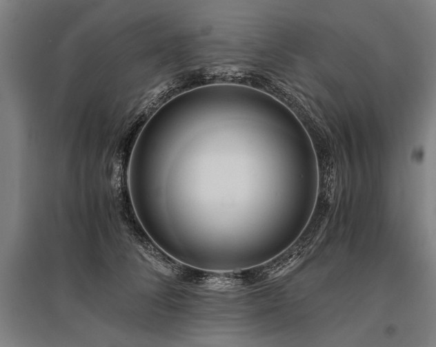X0000096160708200801181225