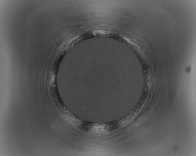 X0000096160709200801181225