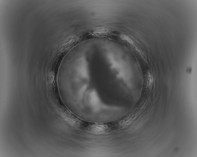 X0000096160711200801181225
