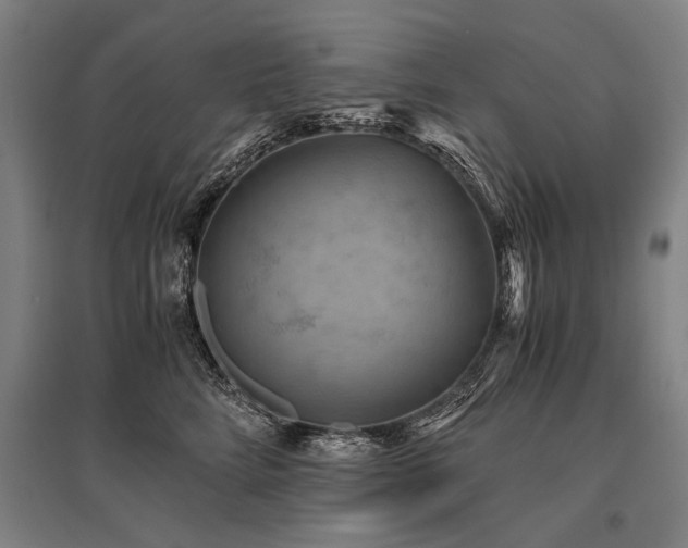 X0000096160712200801181225