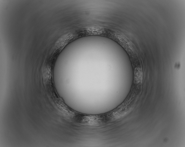 X0000096160713200801181225