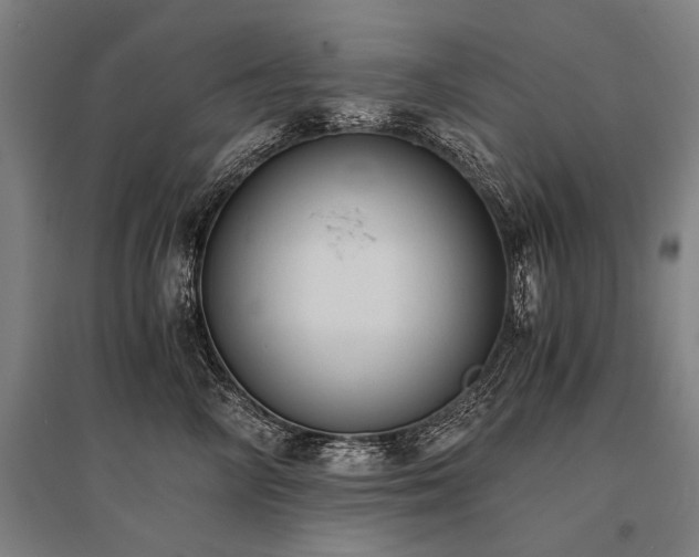 X0000096160714200801181225