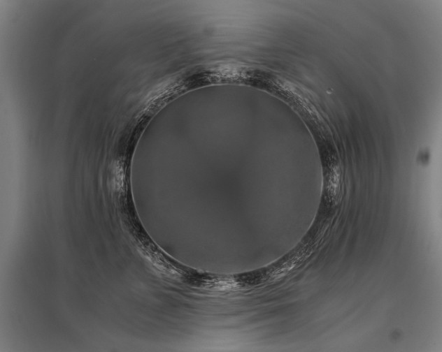 X0000096160715200801181225