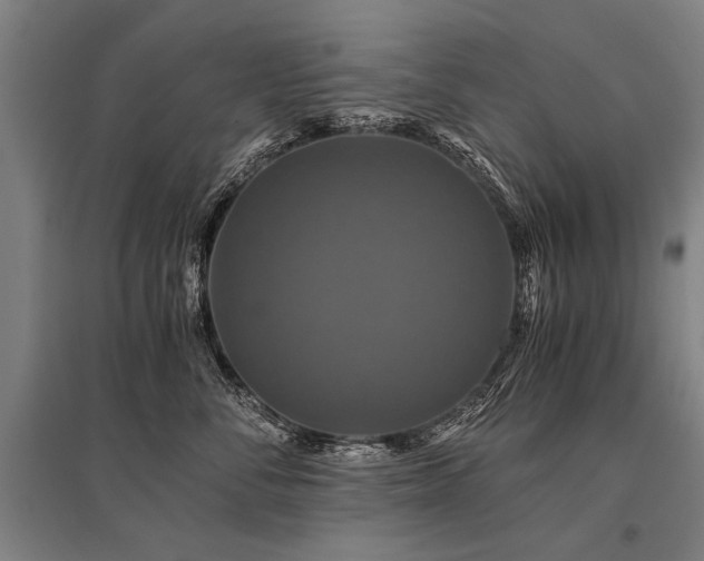 X0000096160716200801181225