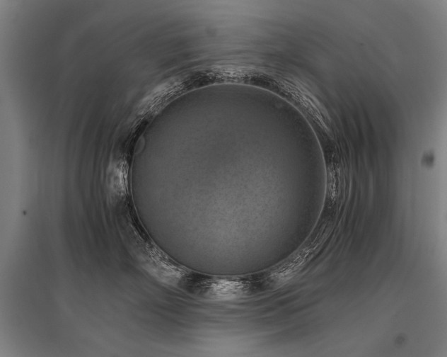 X0000096160718200801181225