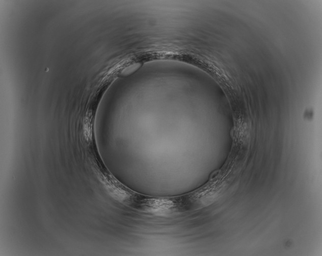 X0000096160719200801181224