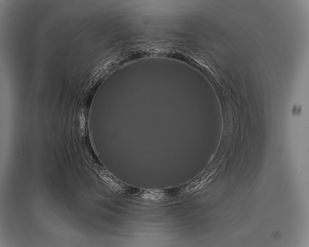 X0000096160720200801181224
