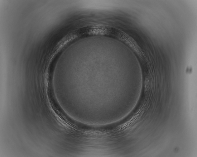 X0000096160722200801181224