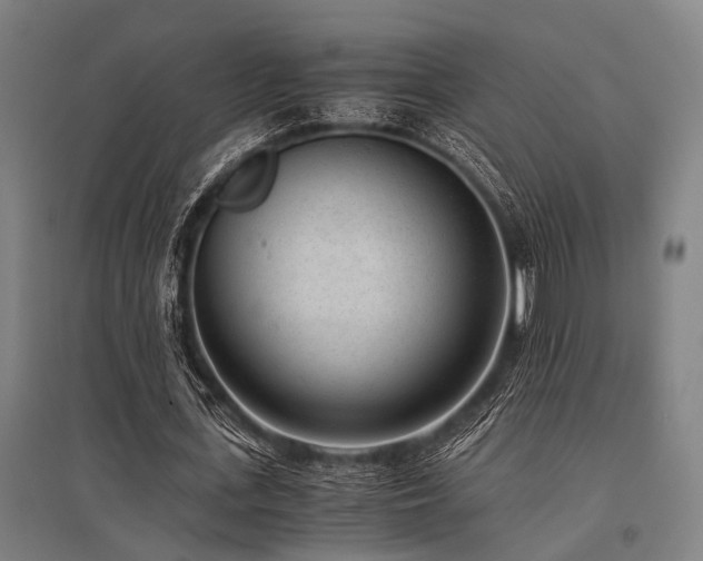 X0000096160723200801181224