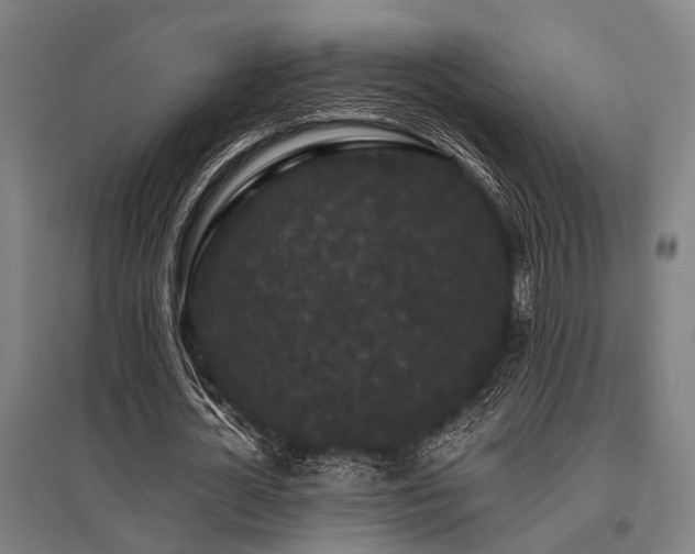 X0000096160724200801181224