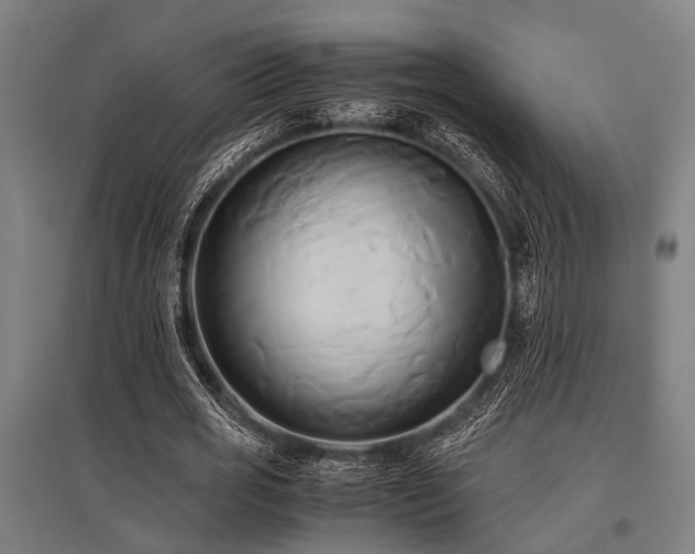 X0000096160725200801181224