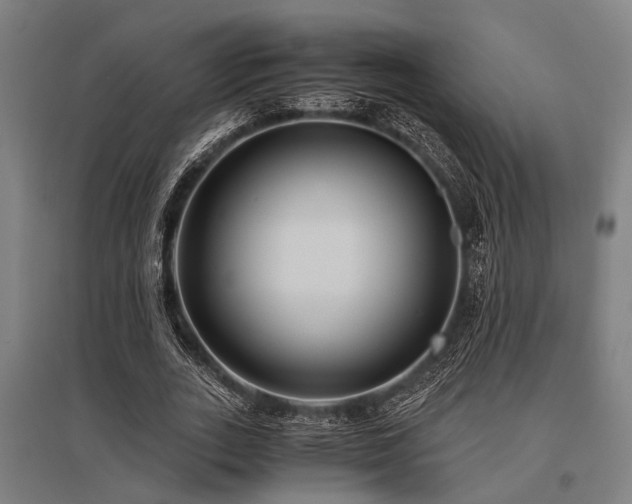 X0000096160727200801181224