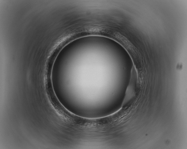 X0000096160728200801181224