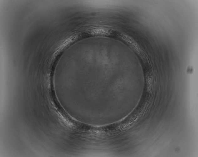 X0000096160729200801181224