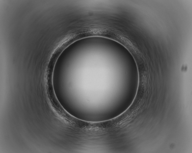 X0000096160730200801181224